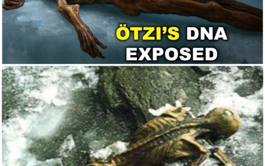 New DNA Study on Ötzi The Iceman Shocks Scientists — He Wasn’t One of Us